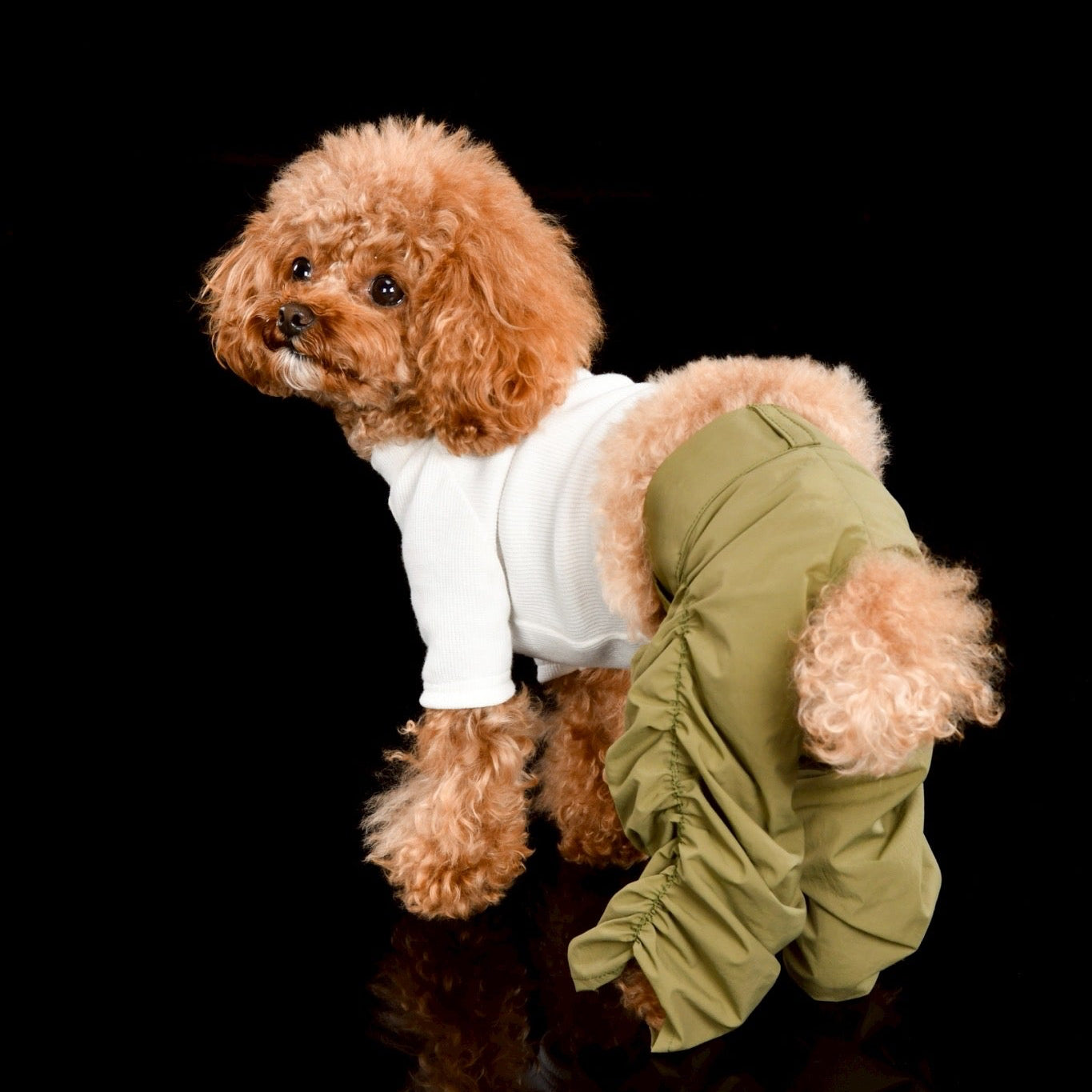 GATHEED PANTS