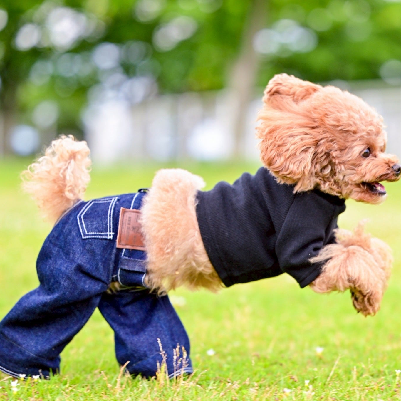 DENIM PANTS